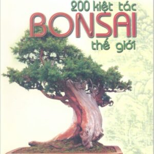 200 Kiệt tác Bonsai thế giới - thandongdatviet